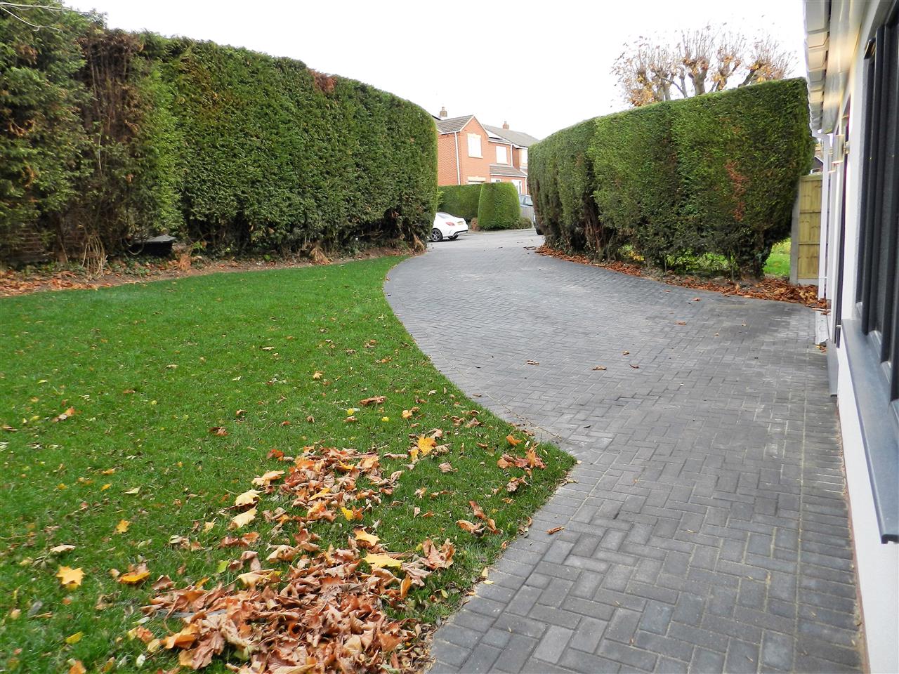 Honing Drive - Picture 20