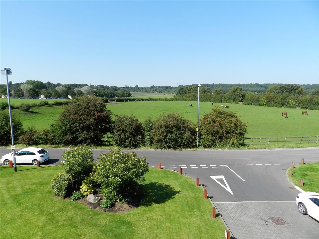 Annesley Cutting - Picture 2