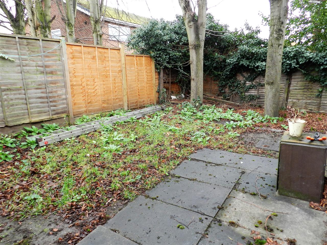Hamilton Road - Picture 14