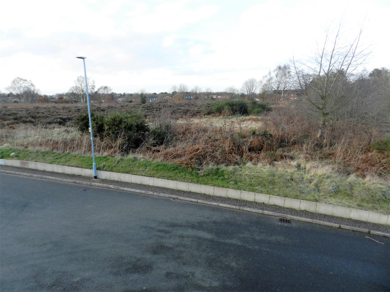 Tansley Heath - Picture 25