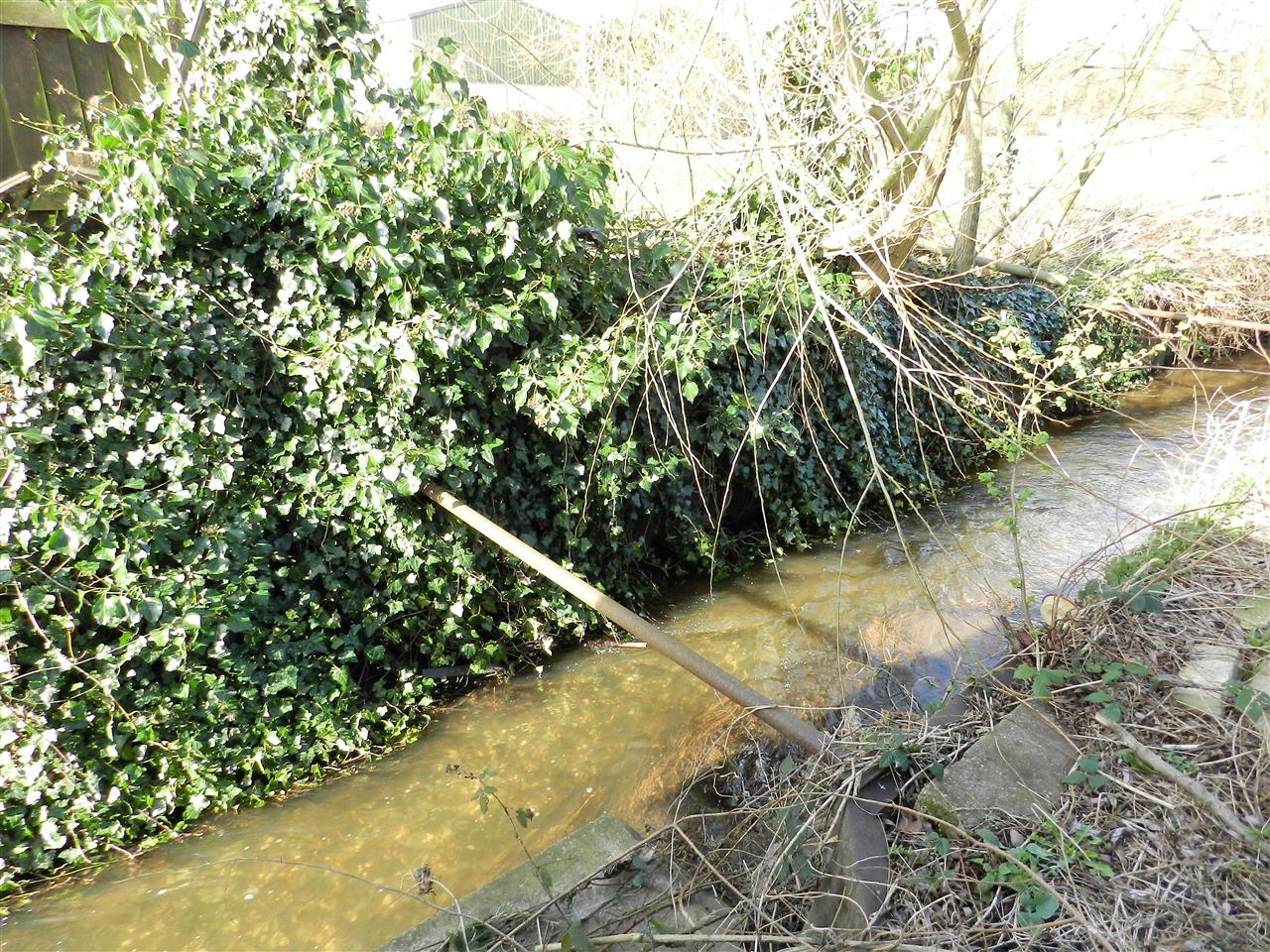 Mickledale Close - Picture 17