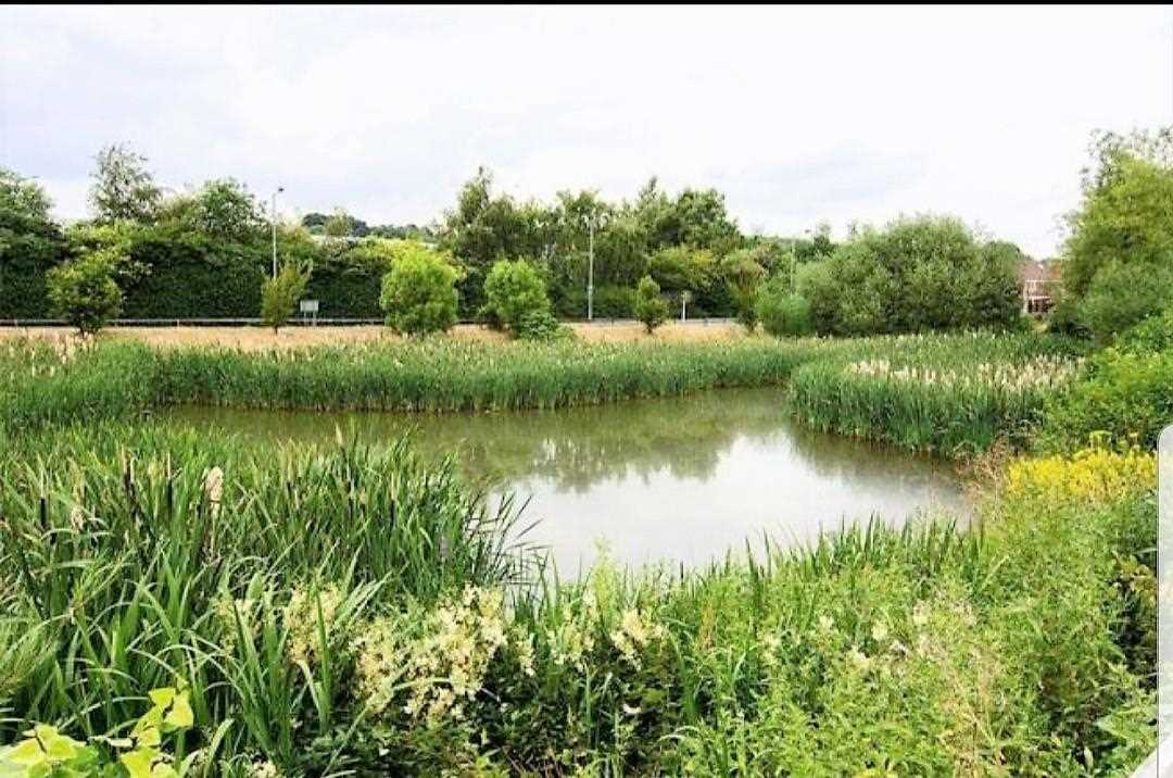 Watermint Close - Picture 32