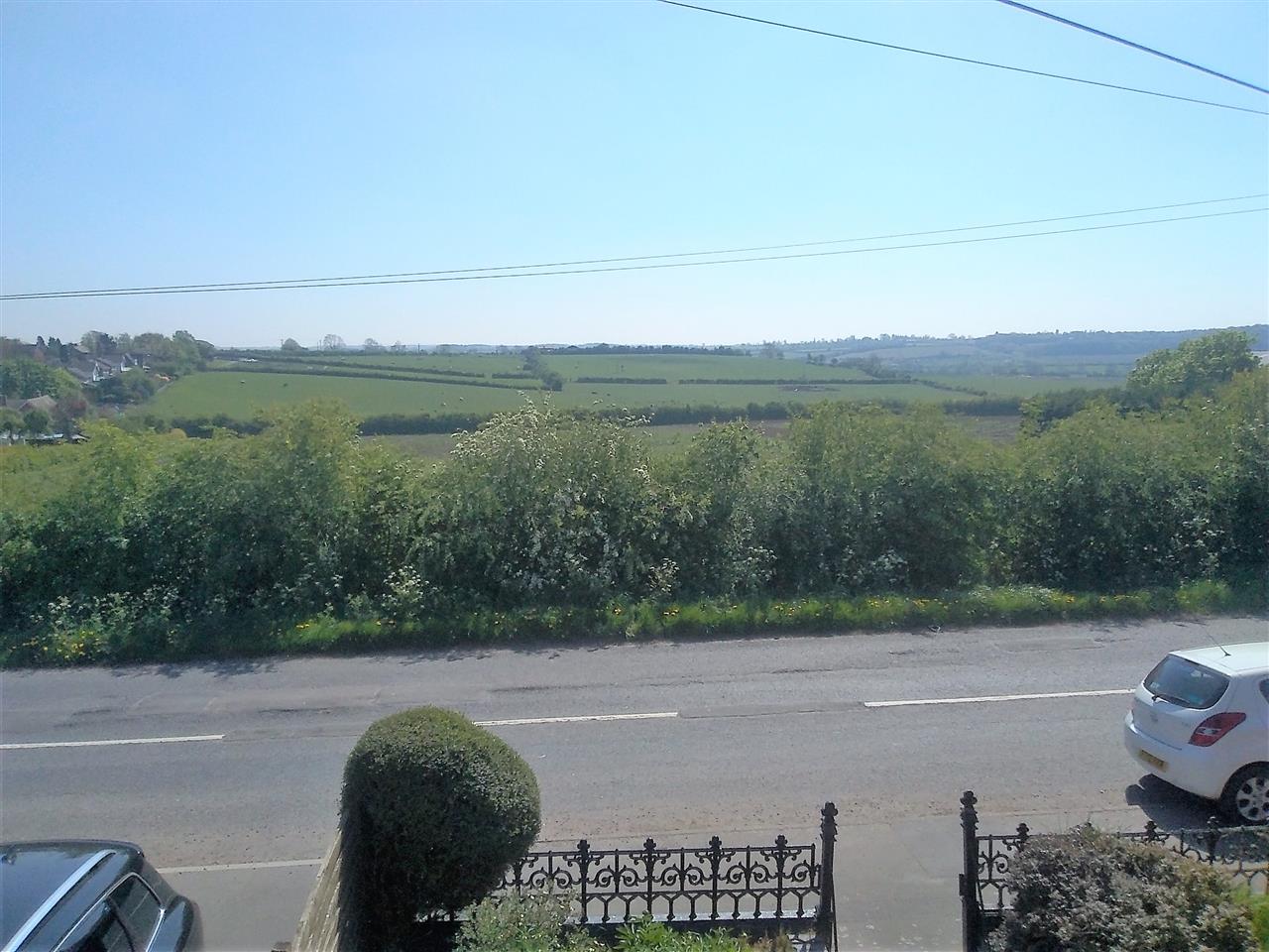 Bunny Lane - Picture 2