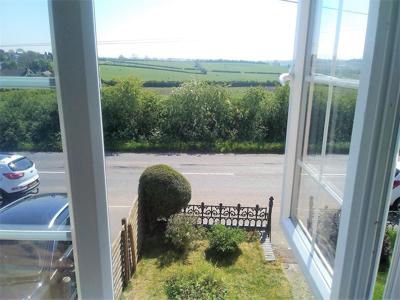 Bunny Lane - Picture 13