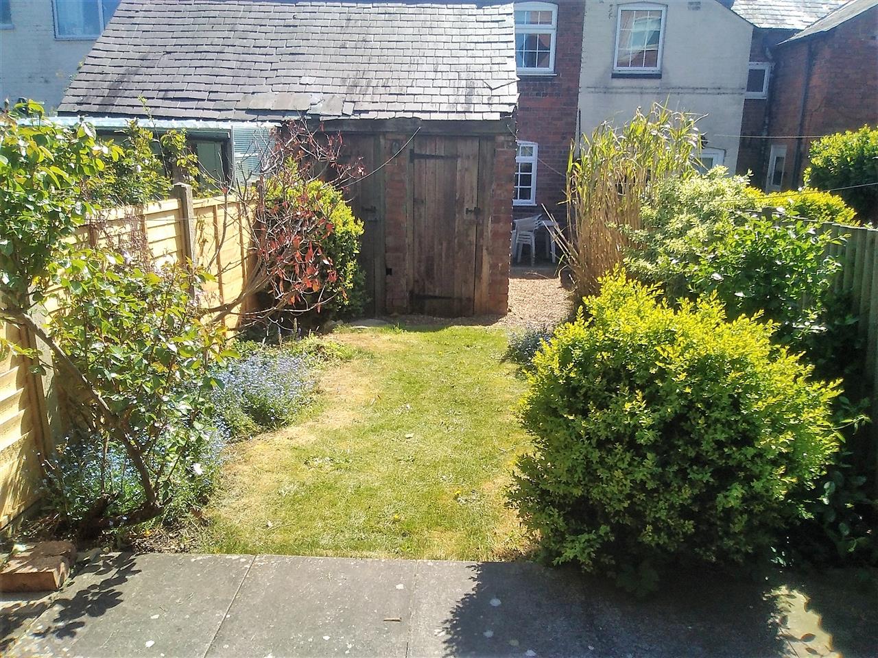 Bunny Lane - Picture 20