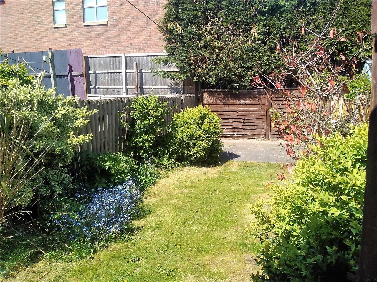 Bunny Lane - Picture 21