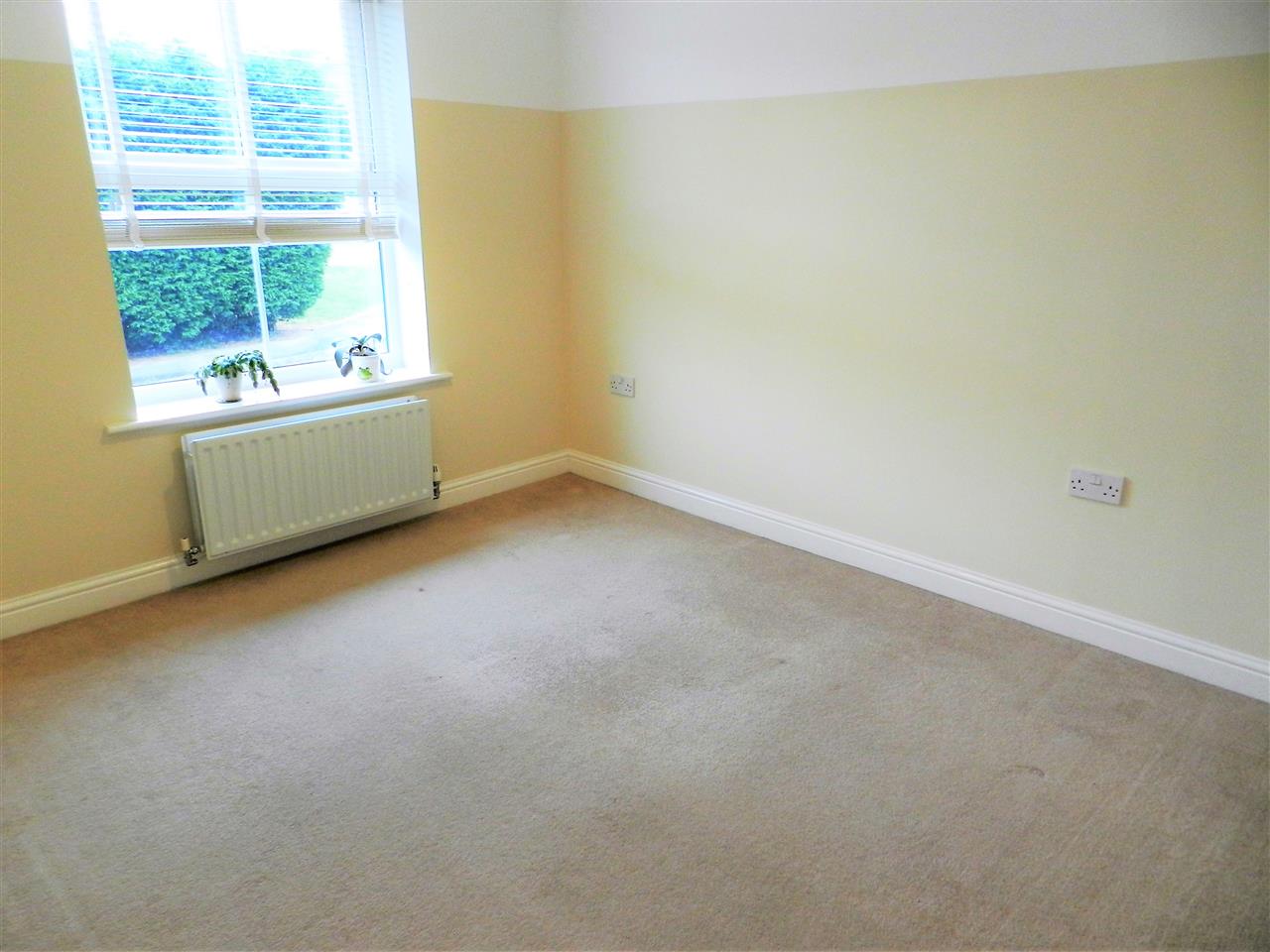 Babbington Street - Picture 11